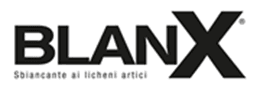 BlanX